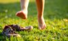 Barefoot Footwear’s Orthopedic Effects on Children’s Health