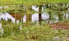 Stormwater Drain Solutions in Wollongong: Understanding the Causes
