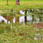 Stormwater Drain Solutions in Wollongong: Understanding the Causes