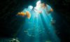 Belize Diving: Uncover Underwater Treasures Beyond the Blue Hole