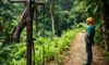 Canopy Tours: Exciting Zip Lining in the Belize Rainforest