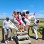 Yarra Valley Wineries: A Guide for 2025 Visits