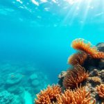 Snorkelling the Belize Barrier Reef: Top Locations and Wildlife