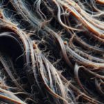 Effective Strategies and Solutions for Reversing Heat Damage