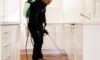 DIY Pest Control: Why Store-Bought Sprays Fall Short Against Professionals