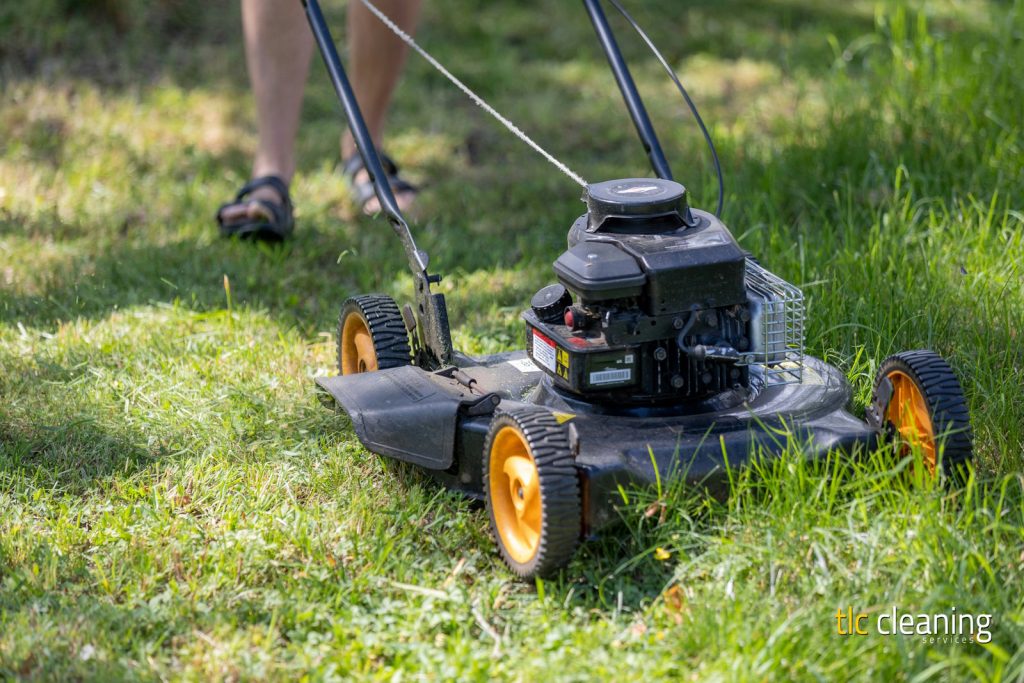 Grass Cutting Services for Lawns: Key Tips for Yeovil