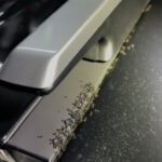 Ant Infestation in Your Schofields Car: Effective Management Tips
