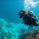Belize’s Big Blue Hole: Essential Diving Tips and Guide