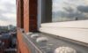 Bird Proofing Solutions: Gel Repellents Without Spikes