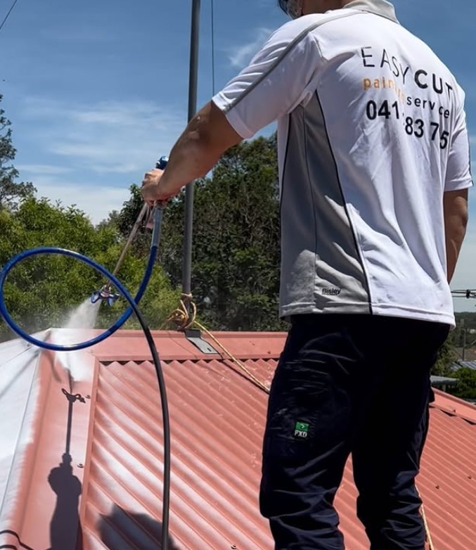 Metal Roof Painting Insights from a Hills District Specialist