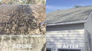 Unlock the Essential Benefits of Soft Washing for Effective Home Maintenance