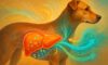 Liver Health Monitoring Tips for Optimal Dog Care