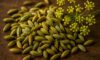 Fennel Seed Recipes for Irresistible Italian and Indian Dishes