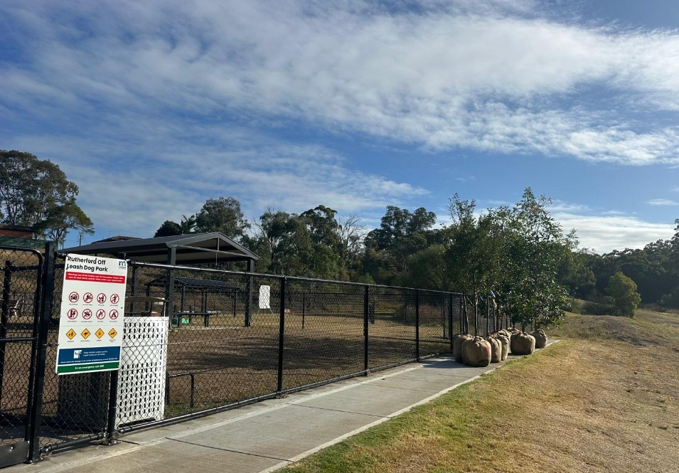Tree Planting at Rutherford Dog Park in Maitland