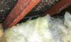 Asbestos Concerns: Essential Tips for Skip Hire Services