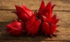 Hibiscus Flowers: Innovative Cooking Techniques and Tips