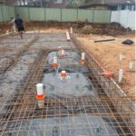 Termite Risk Management for Homes in NSW Explained